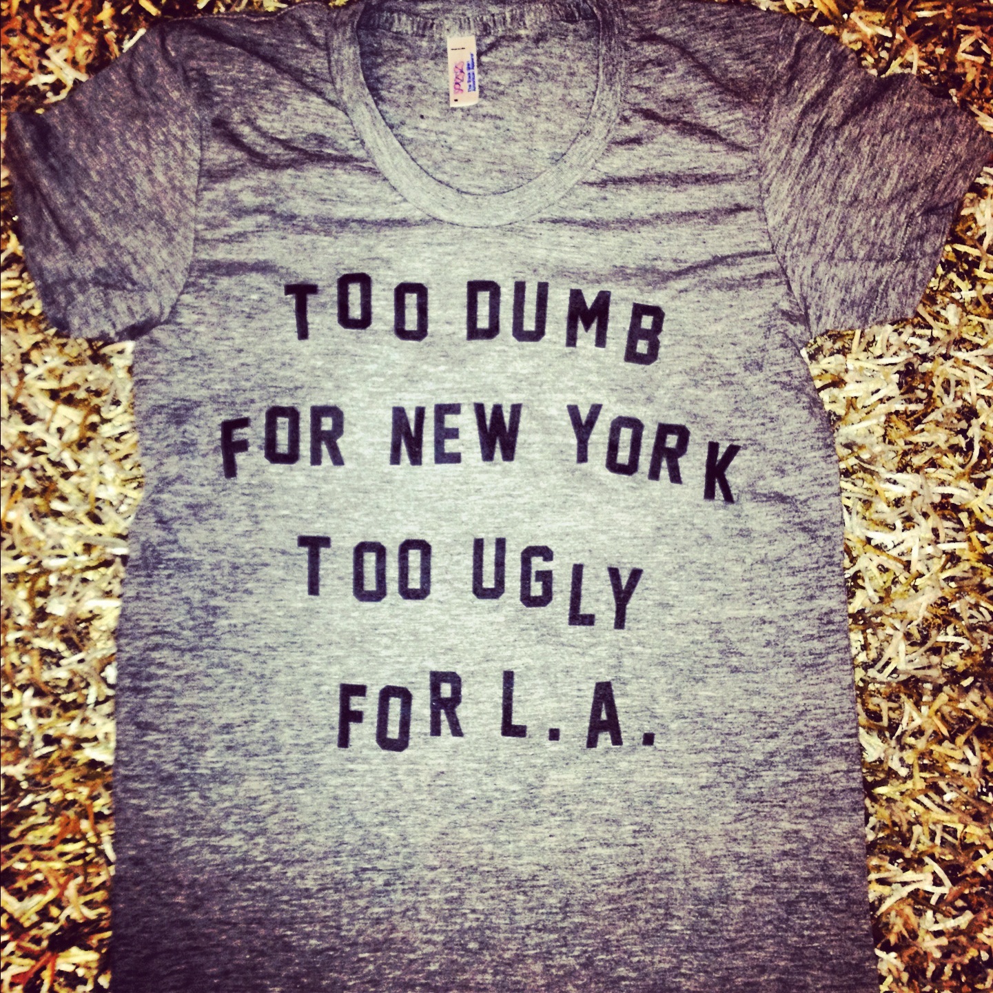 Too dumb for New York Too ugly for LA t-shirt