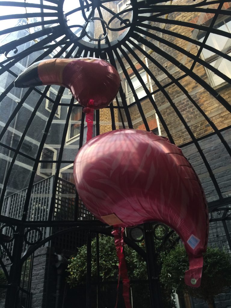 flamingo balloon 