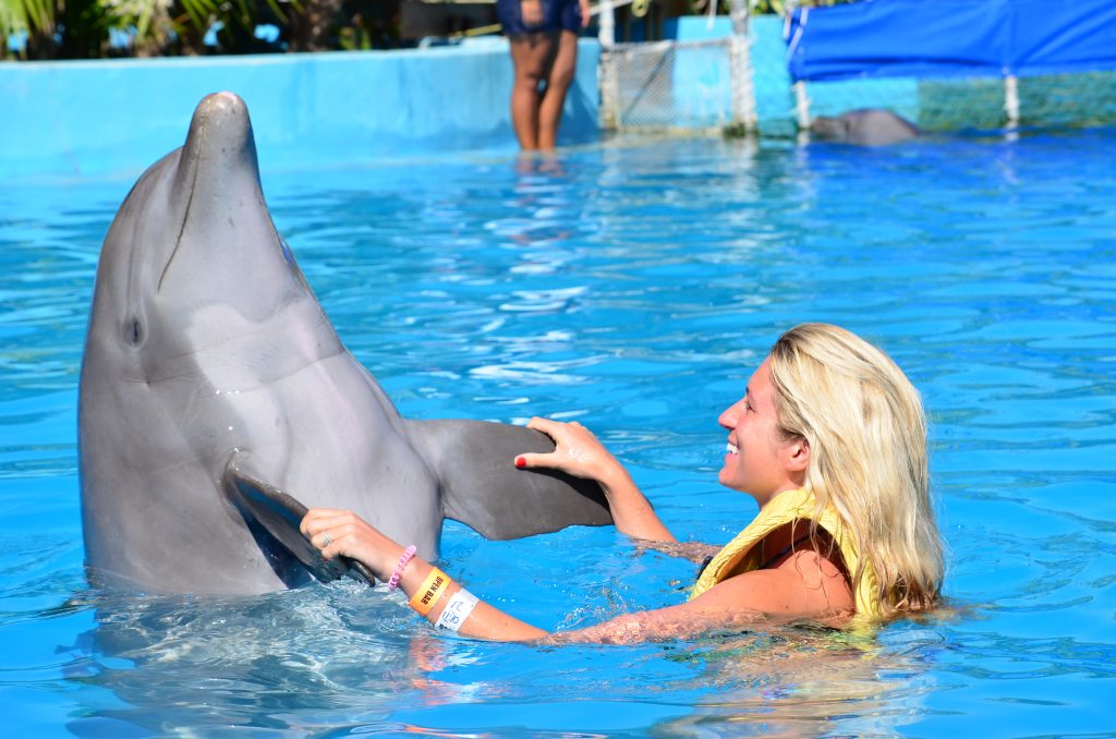 mexico dolphin trip 